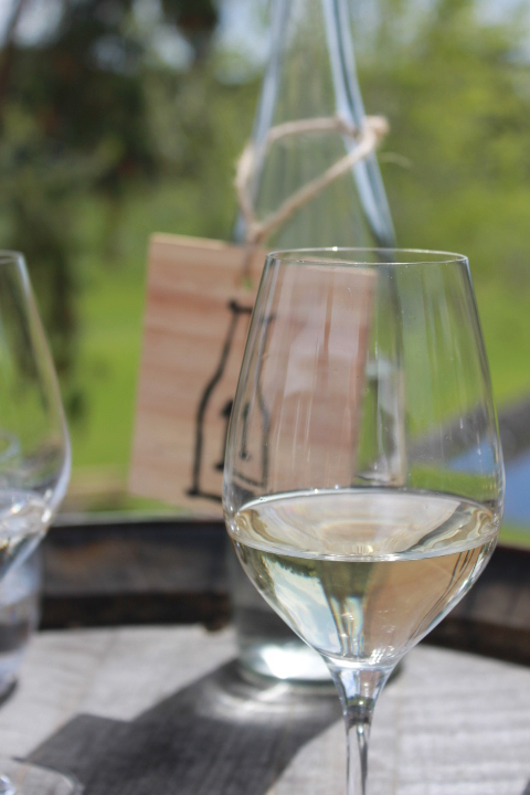 Wine glass at Westbrook Vineyard