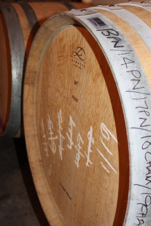 Wine barrel at Hyperion Wines Matakana vineyard