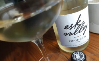 Esk Valley pinot Gris