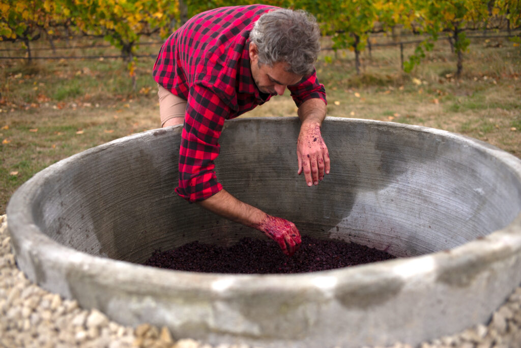 Greystone vineyard ferment