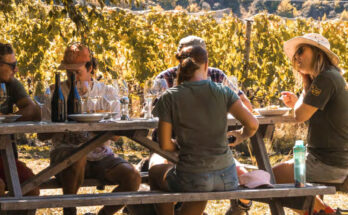 NZ Winegrowers report