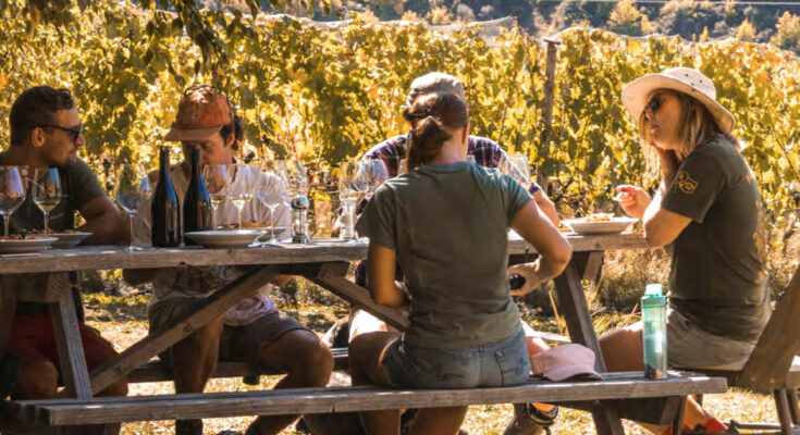 NZ Winegrowers report