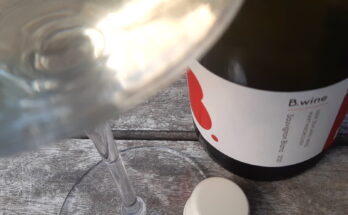 B. wine Sauvignon Blanc 2021