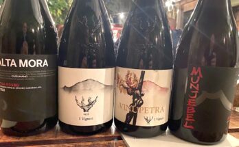 Etna rosso wines