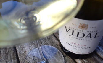 Vidal Soler Chardonnay 2019