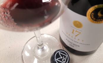 Mount Riley 17 Valley Pinot Noir 2019