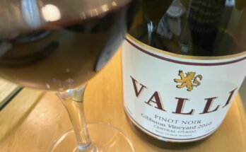 Valli Gibbston Vineyard Pinot Noir 2010