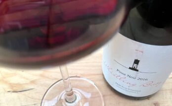 Whistling Buoy Half Acre Vineyard Pinot Noir 2016