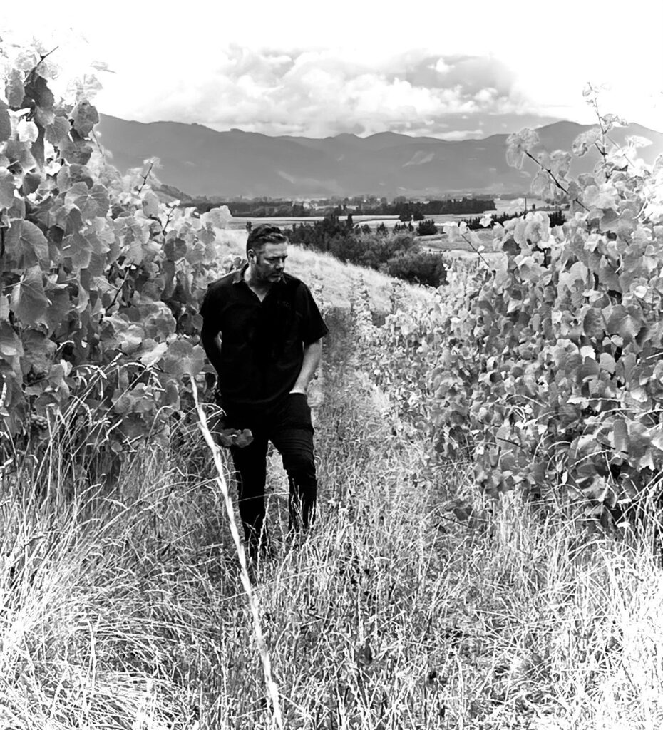 Daniel Sorrell vineyard