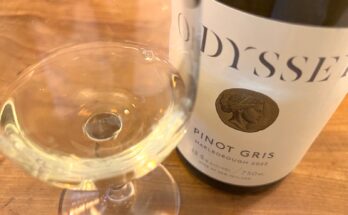Odyssey Pinot Gris