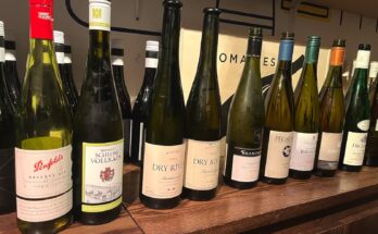 A remarkable tasting of Rieslings