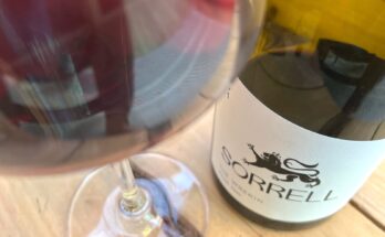 Sorrell Wrekin Pinot Noir 21