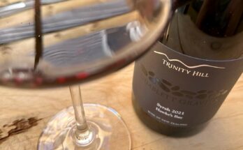 Trinity Hill Gimblett Gravels Syrah 2021