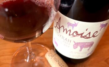 Amoise Syrah 2021