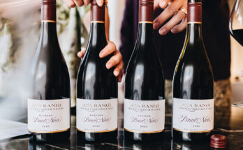 The Ata Rangi Vineyard Selection 2020 Pinot Noirs