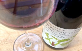 Pyramid Valley Calvert Vineyard Pinot Noir 2009
