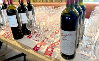 Penfolds tasting