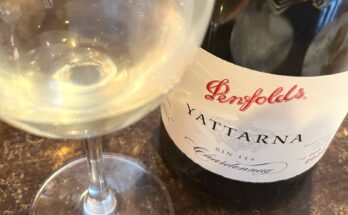 Penfolds Bin 144 Yattarna Chardonnay 2020