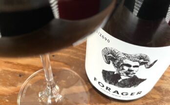 Forager Pinot Noir 2022