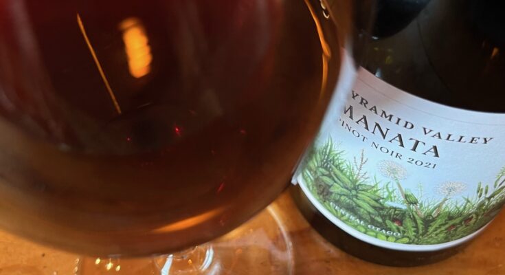 Pyramid Valley ‘Manata’ Pinot Noir 2021