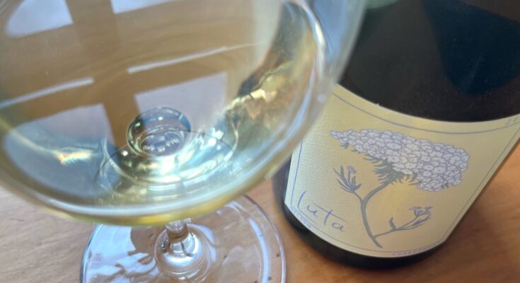 Luta ‘Echoes’ Chardonnay 2021