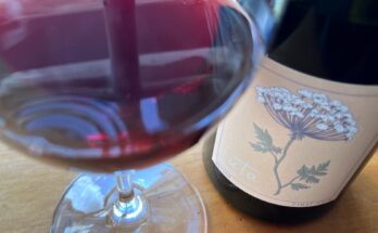 Luta Shadow Pinot Noir 2021