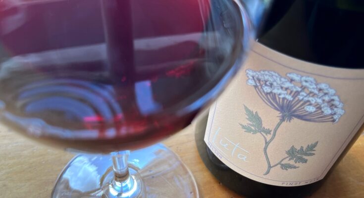 Luta Shadow Pinot Noir 2021