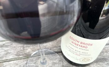 Rapaura Springs South Brook Vineyard Pinot Noir 2023