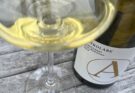 Astrolabe Chardonnay 2023