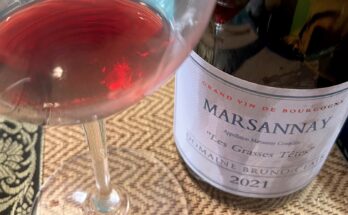 Domaine Bruno Clair ‘Les Grasses Têtes’ Marsannay 2021