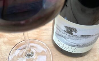 Paritua Syrah 2021