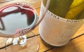 Alpha Domus Barnstormer Syrah 2021