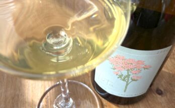 Luta ‘Vale’ Chenin Blanc 2022