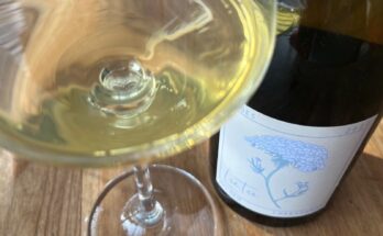 Luta Echoes Chardonnay 2022