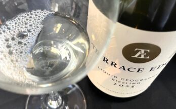 Terrace Edge Liquid Geography Riesling 2025
