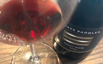 Three Paddles Martinborough Pinot Noir 2024