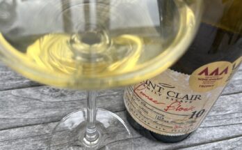 St. Clair Pioneer Block 10 Twin Hills Chardonnay 2022