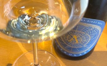 Astrolabe Kēkerengū Coast Pinot Gris 2022