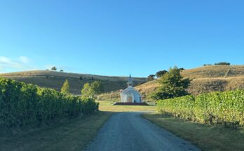 A visit to Clos Henri, Marlborough