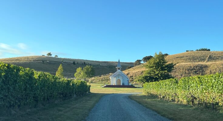 A visit to Clos Henri, Marlborough