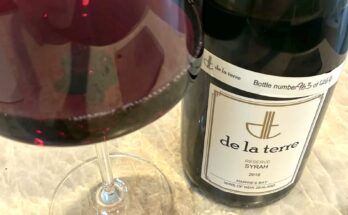 De la Terre Reserve Syrah 2016