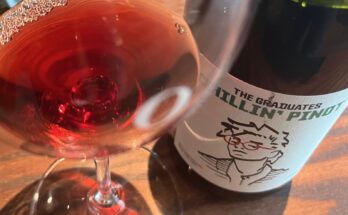 The Graduates Chillin’ Pinot 2024