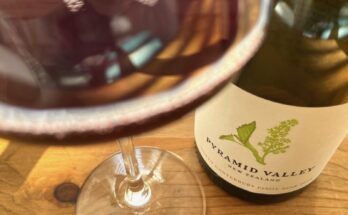 Pyramid Valley North Canterbury Pinot Noir 2019