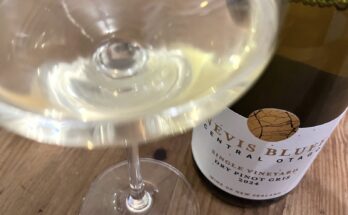 Nevis Bluff Dry Pinot Gris 2024