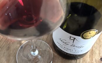 Shaky Bridge ‘Artisan Reserve’ Pinot Noir 2022