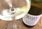 Allan Scott Marlborough Sauvignon Blanc 2026