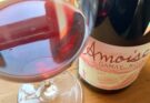 Amoise Gamay Noir 2023