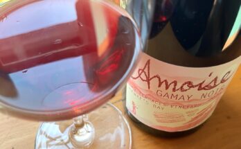 Amoise Gamay Noir 2023