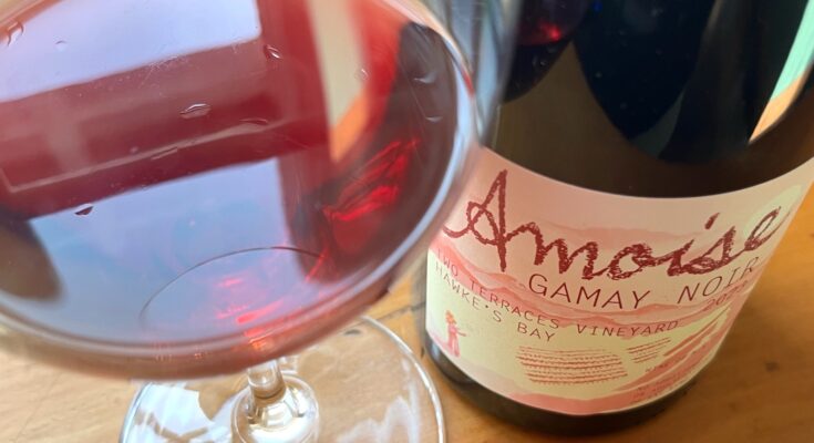 Amoise Gamay Noir 2023