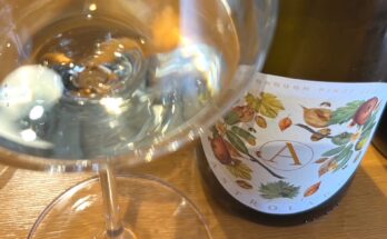 Astrolabe Marlborough Pinot Gris 2023